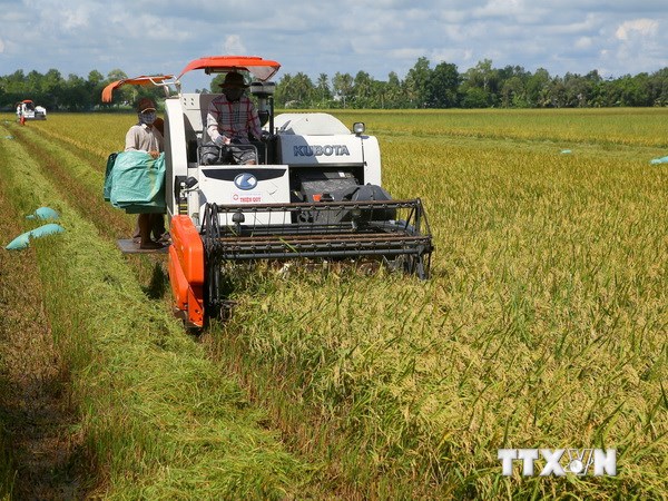 В г.Хошимине состоялся 5-й международный семинар по борьбе с голодом и бедностью