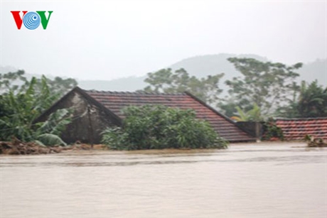 Вьетнам выступает за новые юридические основы борьбы с изменением климата