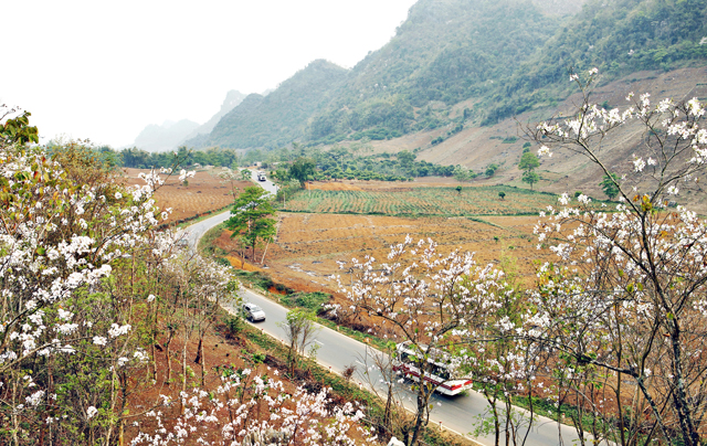 Превращение Моктяу в государственный туристический комплекс на северо-западе Вьетнама