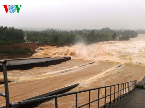Вьетнам выполняет обязательства по осуществлению программ по борьбе с изменением климата