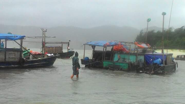 Тайфун «Куджира» превратился в тропический циклон над сушей