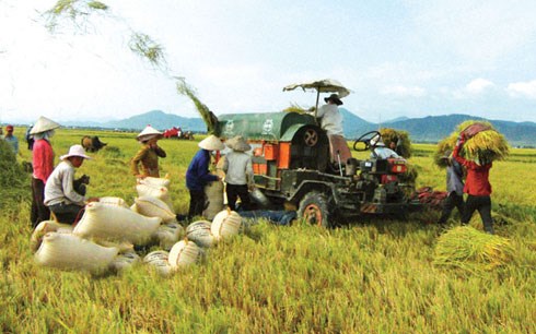Во Вьетнаме будут названы 63 лучших крестьянина страны
