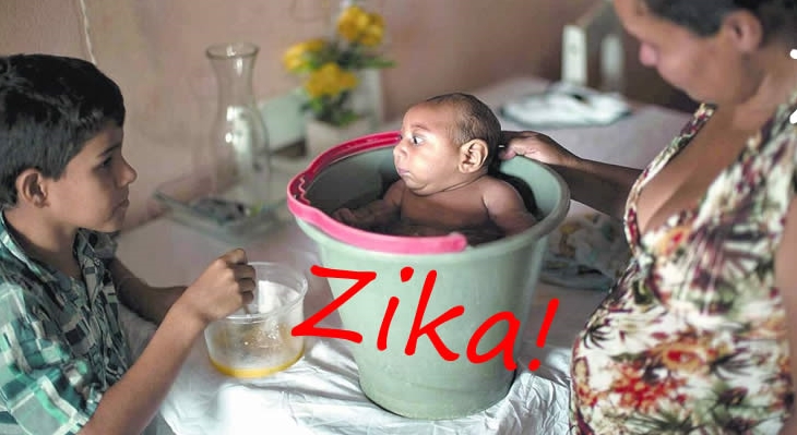 Вьетнам принял активные меры по борьбе с вирусом лихорадки Зика