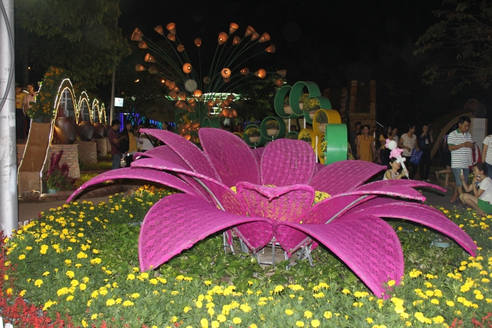 В провинциях и городах Вьетнама открылись цветочные улицы в честь Нового года Огненной Обезьяны