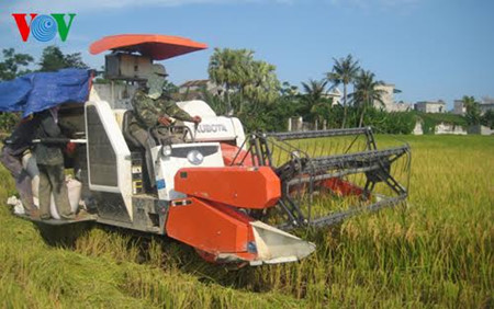 Вьетнам ускоряет процесс реструктуризации сельского хозяйства