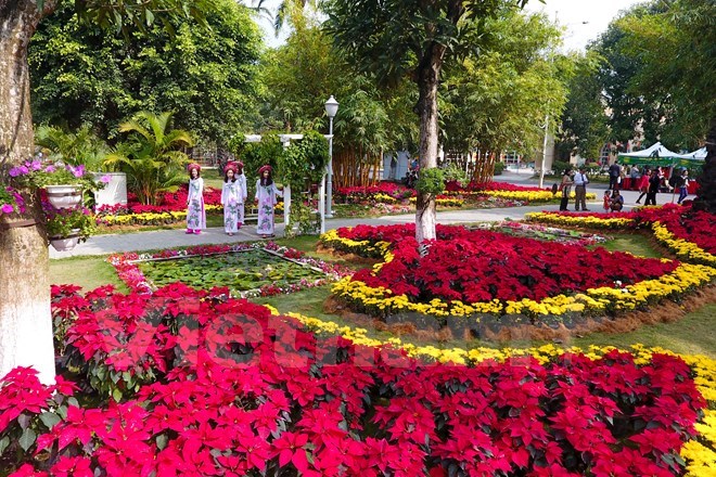 Открылся крупнейщий на севере Вьетнама фестиваль весенних цветов