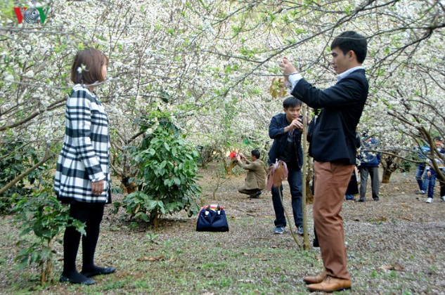 Культурное пространство северо-запада страны в Этнографическом музее Вьетнама