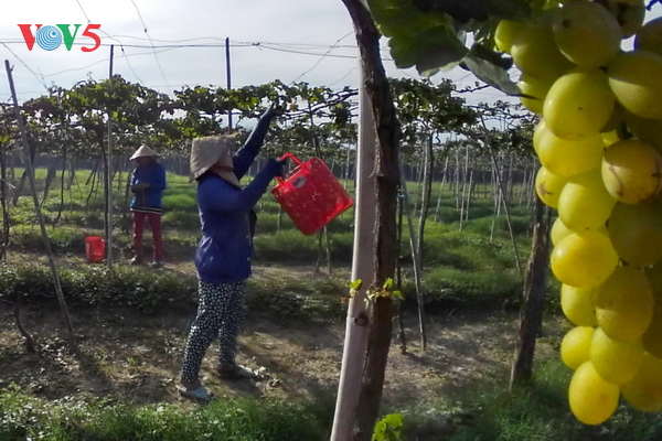 Повышение адаптационных возможностей сельского хозяйства на фоне изменения климата