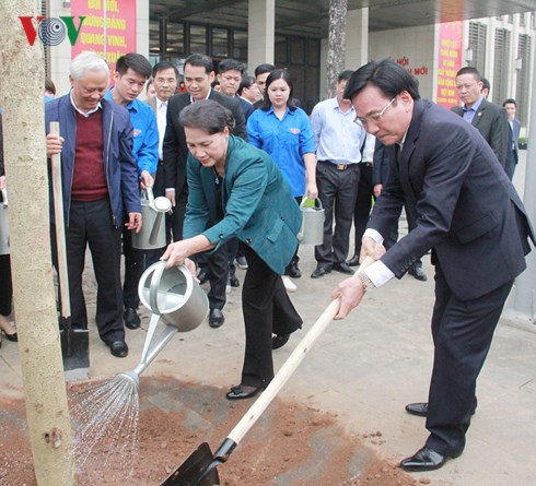 Канцелярия парламента Вьетнама получила и посадила баухинию