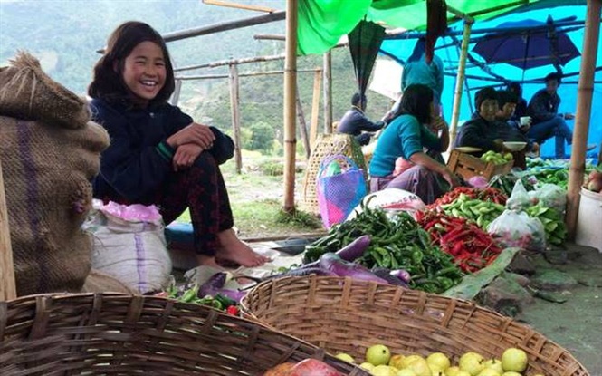 Обновление способов сельскохозяйственного производства, адаптированных к изменению климата