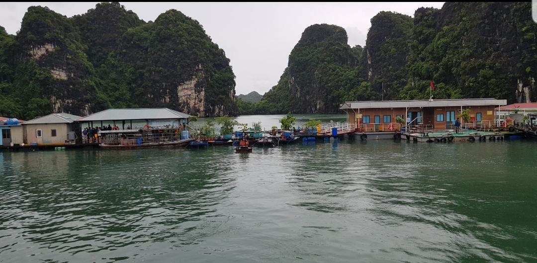 Vung Viêng, l'un des plus beaux villages de pêcheurs au monde