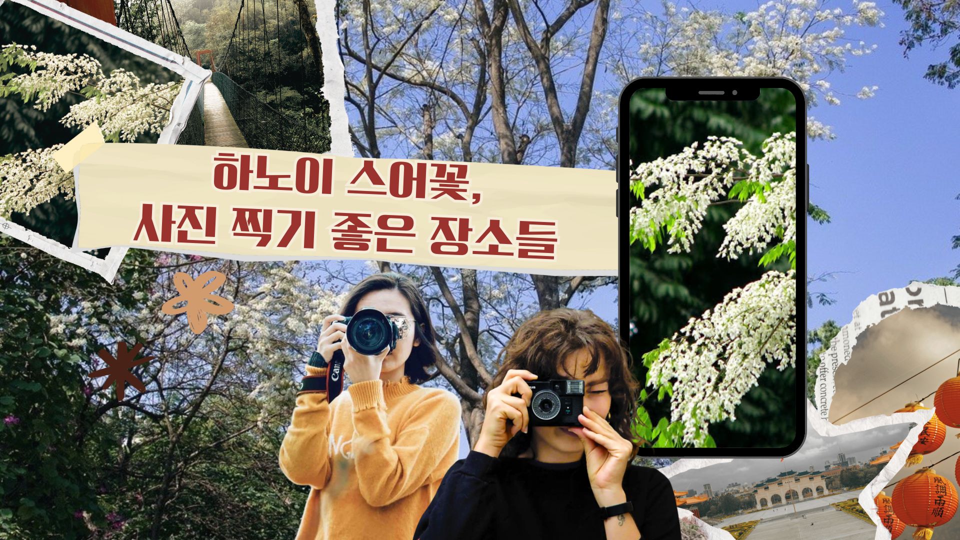 '하노이시 스어(sưa) 꽃' 사진 찍기 좋은 장소들