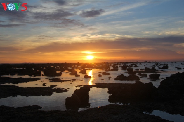 Atractiva isla de Ly Son