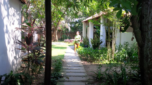 Modelo de “homestay” en Hoi An atrae a turistas extranjeros