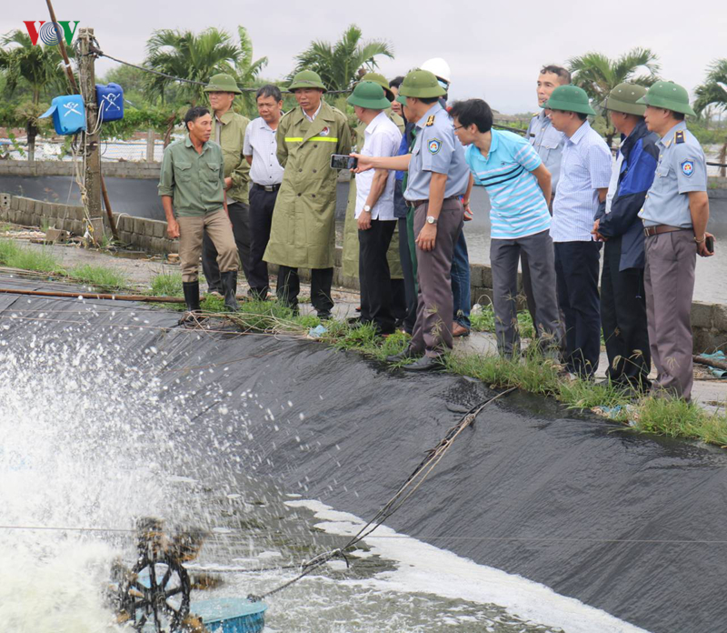 Chequean trabajos de superación de secuelas de tifón Wipha en Hai Phong