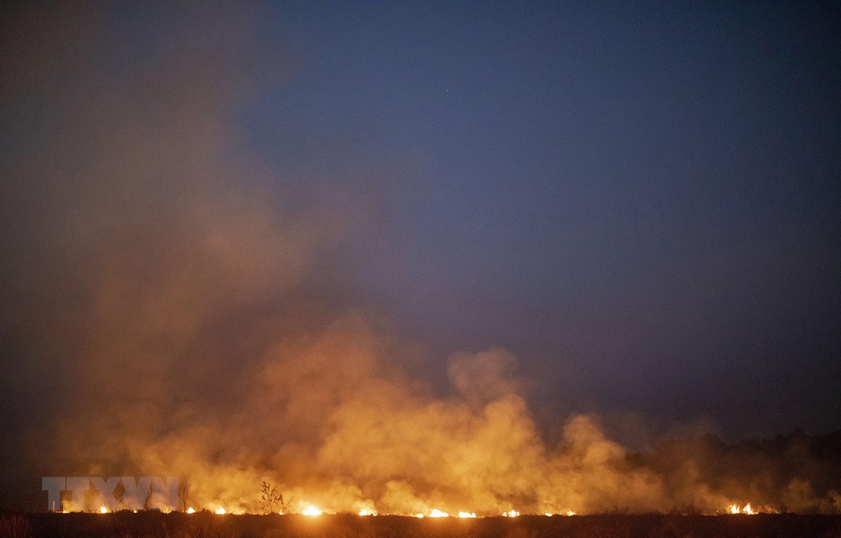 Brasil condiciona la ayuda del G7 para incendios en el Amazonas