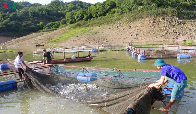Vietnam y Noruega estrechan cooperación en el cultivo y procesamiento de productos acuícolas