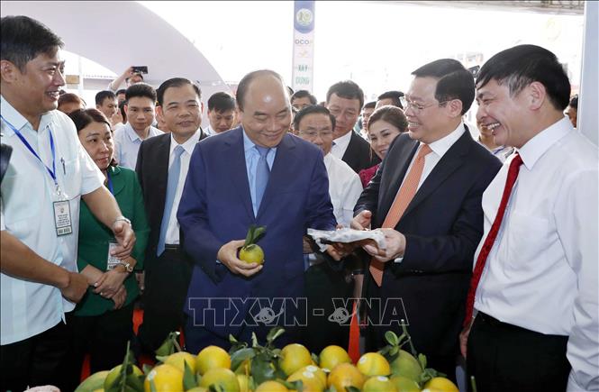 Celebran exposición sobre la construcción del nuevo campo en Vietnam