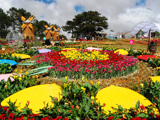 Celebrarán el Festival de Flor de Da Lat 2019