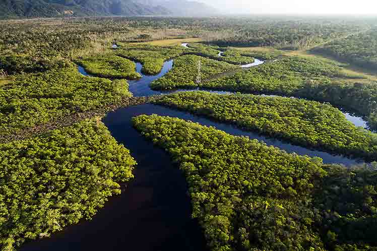 Brasil y Alemania firman acuerdo para producción sostenible en la Amazonía