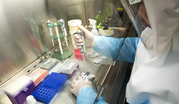 Vietnam: 5 casos nuevos infectados con coronavirus desde el 6 de marzo