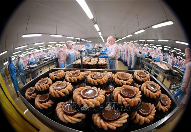 El camarón seguirá siendo el principal producto acuático exportable de Vietnam en el futuro próximo