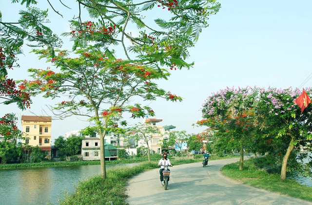 Vietnam promueve el desarrollo de las nuevas zonas rurales