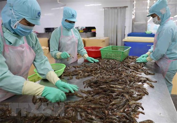 Vietnam reporta un aumento interanual de casi 87% del comercio agrícola