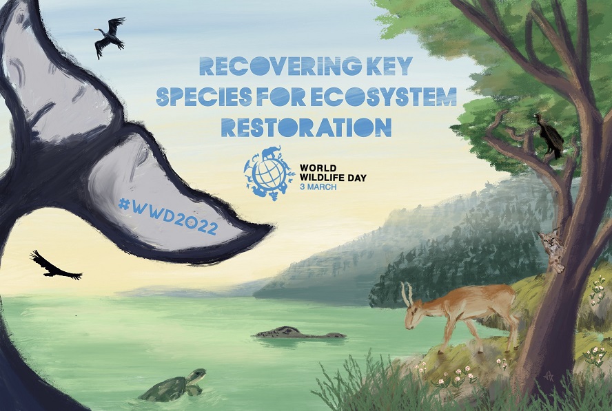 Vietnam conmemora el Día Mundial de la Vida Silvestre