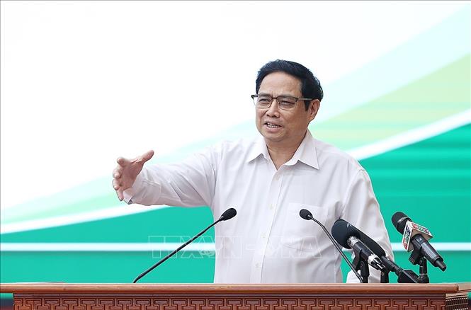 Promueven el desarrollo agrícola en el delta del río Mekong