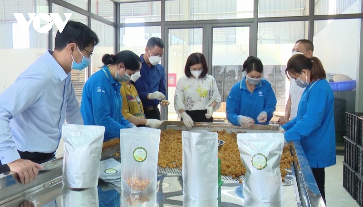 Empresarios de Son La unen las manos para promover los productos agrícolas locales