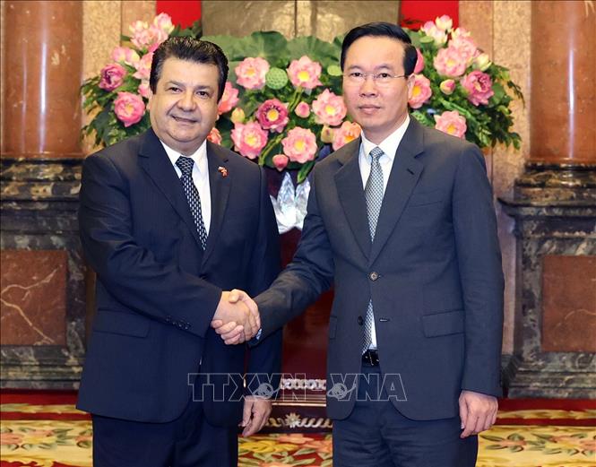 Presidente de Vietnam recibe a embajadores de Chile, UAE y Sri Lanka