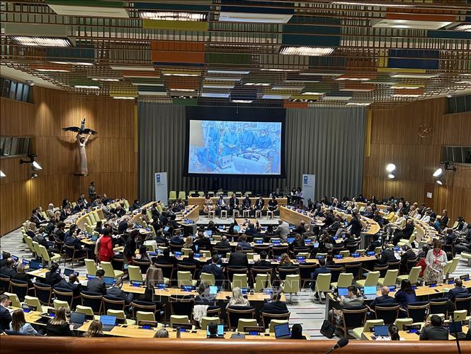 Vietnam participa en un diálogo del PNUD sobre el desarrollo y la superación de la crisis