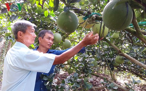 Tran Cong Len: quand le bonheur de l’un fait le bonheur des autres