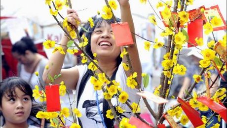 បុណ្យតេតវៀតណាមកក់កដៅ