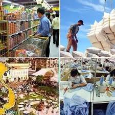 រដ្ឋាភិបាលវៀតណាមទើបចេញផ្សាយនិងអនុម័ត្តគោនយោបាយមួយចំនួនអំពីការគ្រប់គ្រងប្រើប្រាស់ដីដាំស្រូវ