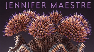 ភាពអស្ចារ្យនៃបណ្ដាខ្មៅដៃរ