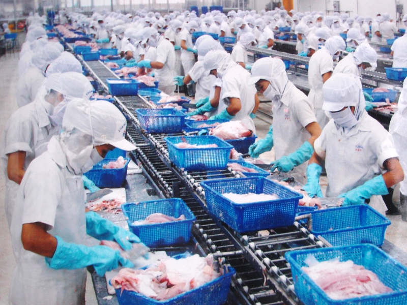 អាជីវករអូស្ត្រាលីវាយតំលៃខ្ពស់ចំពោះគុណភាពនៃជលផលរបស់វៀតណាម