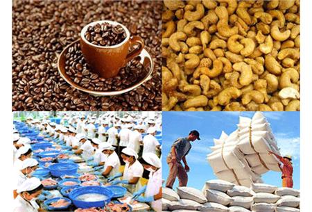 តំលៃប្រាក់ទំនិញនាំចេញក្នុងរយៈពេល ៧ ខែដើមឆ្នាំ ២០១២ កើន ១៩%