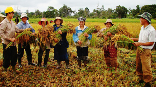 បង្កើនកិច្ចសហប្រតិបត្តិការអន្តរជាតិអំពីវិទ្យាសាស្ត្រនិងបច្ចេកវិជ្ជាវៀតណាម-ឡាវ