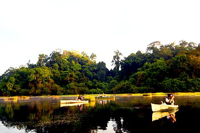 វៀតណាមដាក់ជូនឲ្យ UNESCO បញ្ចូលសួនឧទ្យានជាតិ Cat Tien ក្នុងបញ្ជីរាយនាមបេតិកភ័ណ្ឌធម្មជាតិសកលលោក