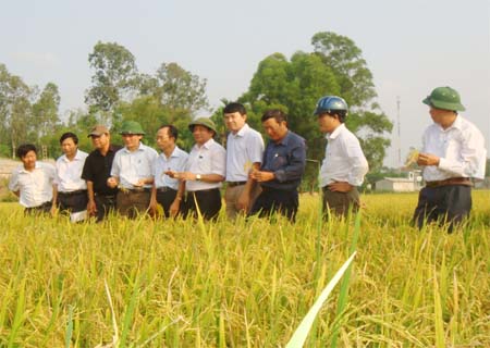 សន្និសីទបូកសរុបកម្មវិធីគោលដៅកសាងជនបទថ្មីនៅភាគខាងត្បូងវៀតណាម