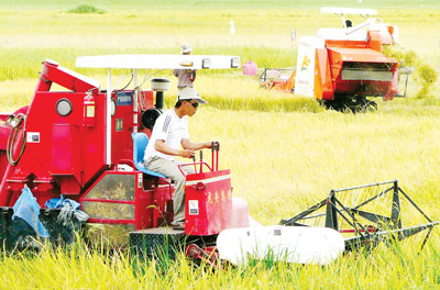 ហាណាមជំរុញខ្លាំងការកសាងវាលស្រែធំ លុបបំបាត់ចោលការបង្កបង្កើនផលតូចតាច