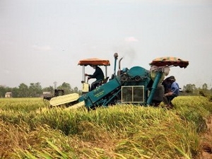“សហករកសិកម្ម- កូនសោដើម្បីចញ្ជឹមបីបាច់ពិភពលោក”