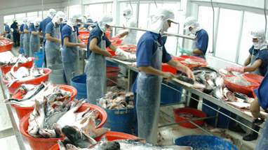 វៀតណាមអាចប្តេងក្រសួងពាណិជ្ជកម្មអាមេរិកអំពីការបង្កើនពន្ធចំពោះត្រីស្បែករំអិលវៀតណាម