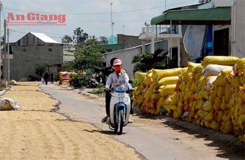 AN GIANG រួមកម្លាំងកាយចិត្តដើម្បីកសាងជនបទថ្មី