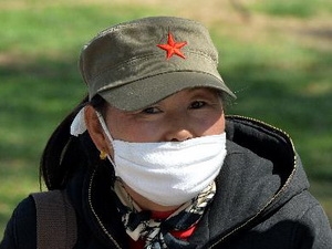 ចិនបានសម្រេចបញ្ឈប់សកម្មភាពជួញដូរបក្សាបក្សីរព្រៃជាបណ្តោះអាសន្ន