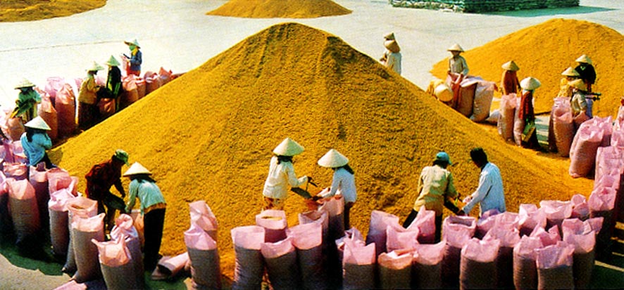 វៀតណាមប្រមូលផ្ដុំកាត់បន្ថយភាពក្រីក្រយ៉ាងចីរភាព។(vov)