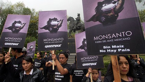 ការធើ្វប៉ាតុកម្មប្រឆាំងជំទាស់ក្រុមហ៊ុន Monsanto