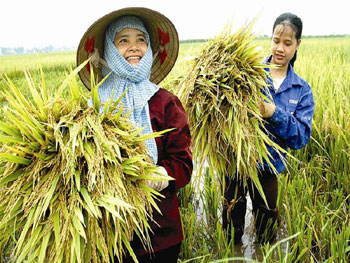 ពង្រីកតួនាទីរបស់សមាគមកសិករក្នុងការកសាងជនបទថ្មី